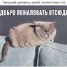 Обелечиваю на входе