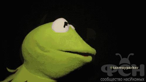 kermit-puppet (1).gif