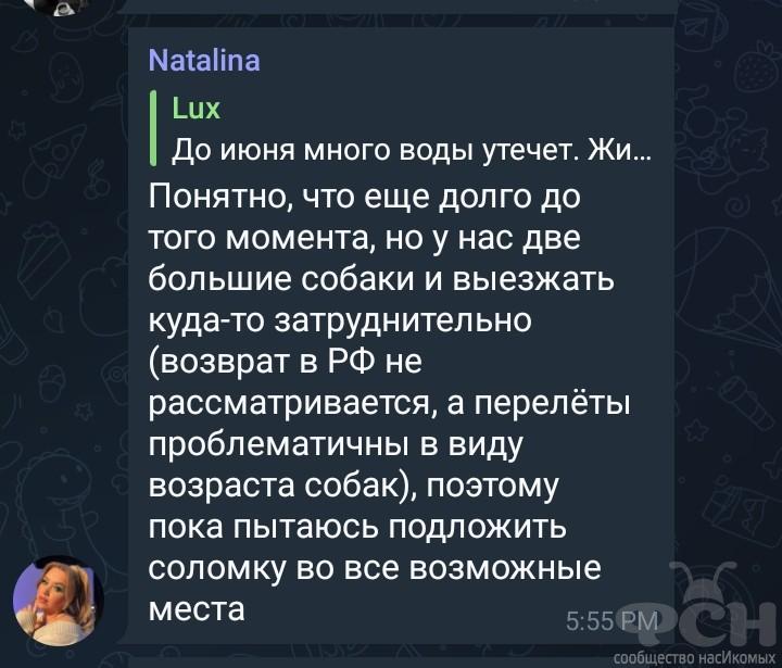 Screenshot-20230223-224654-Telegram-2.jpg